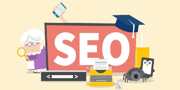 SEO Company in Delhi NCR